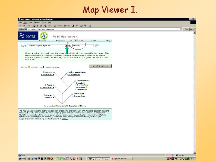 Map Viewer I. 