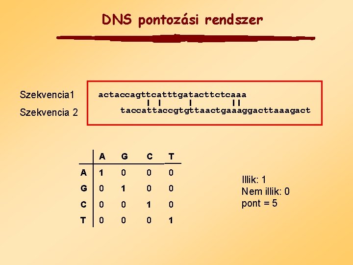 DNS pontozási rendszer Szekvencia 1 actaccagttcatttgatacttctcaaa taccattaccgtgttaactgaaaggacttaaagact Szekvencia 2 A G C T A