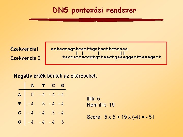 DNS pontozási rendszer Szekvencia 1 actaccagttcatttgatacttctcaaa taccattaccgtgttaactgaaaggacttaaagact Szekvencia 2 Negatív érték bünteti az eltéréseket: