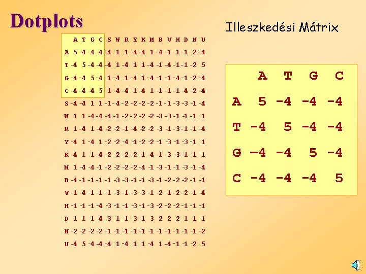 Dotplots Illeszkedési Mátrix A T G C S W R Y K M B