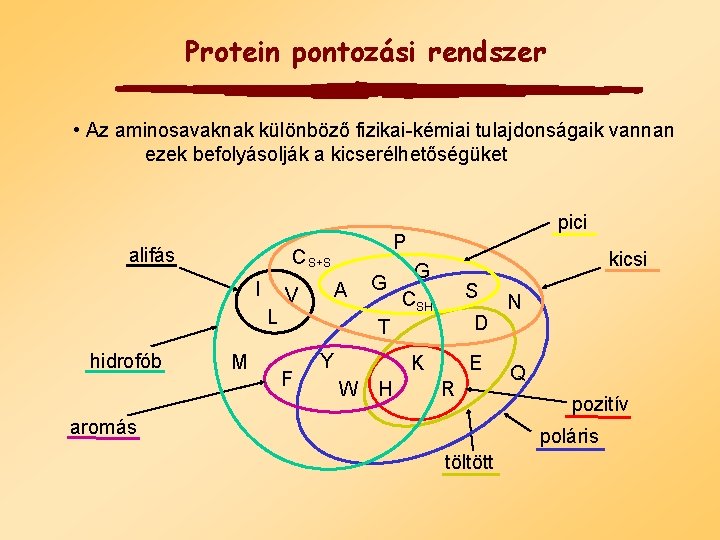 Protein pontozási rendszer • Az aminosavaknak különböző fizikai-kémiai tulajdonságaik vannan ezek befolyásolják a kicserélhetőségüket