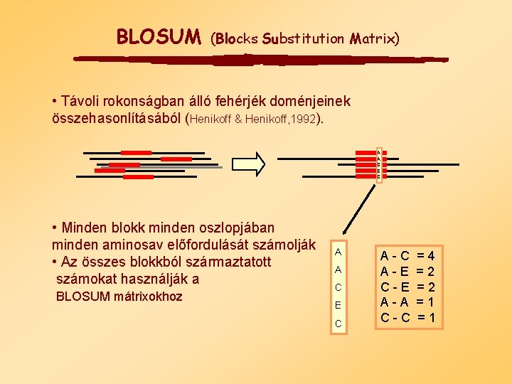 BLOSUM (Blocks Substitution Matrix) • Távoli rokonságban álló fehérjék doménjeinek összehasonlításából (Henikoff & Henikoff,