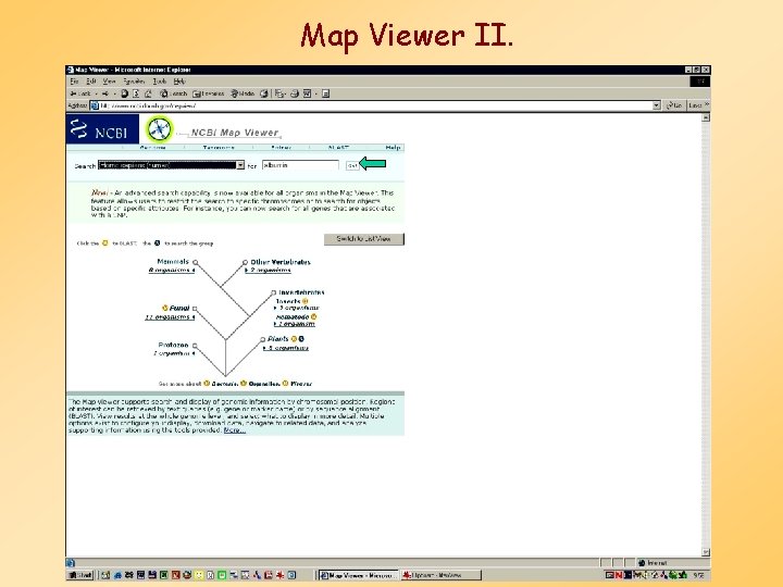 Map Viewer II. 