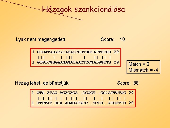 Hézagok szankcionálása Lyuk nem megengedett Score: 10 1 GTGATAGACACAGACCGGTGGCATTGTGG 29 ||| || | 1