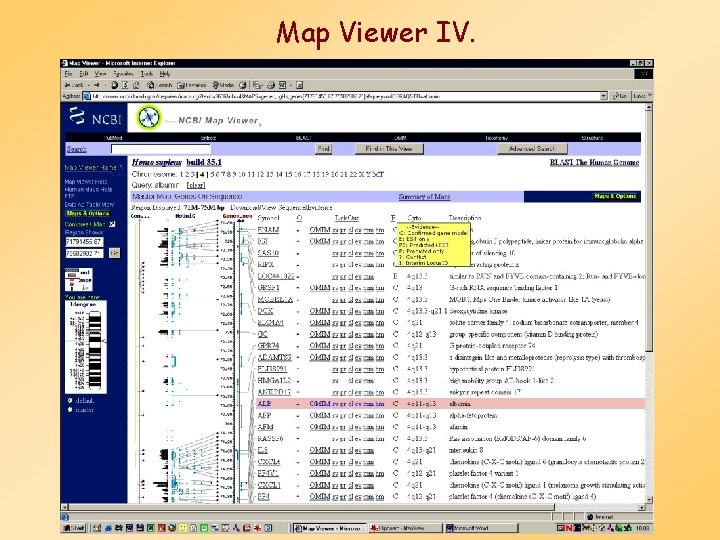 Map Viewer IV. 