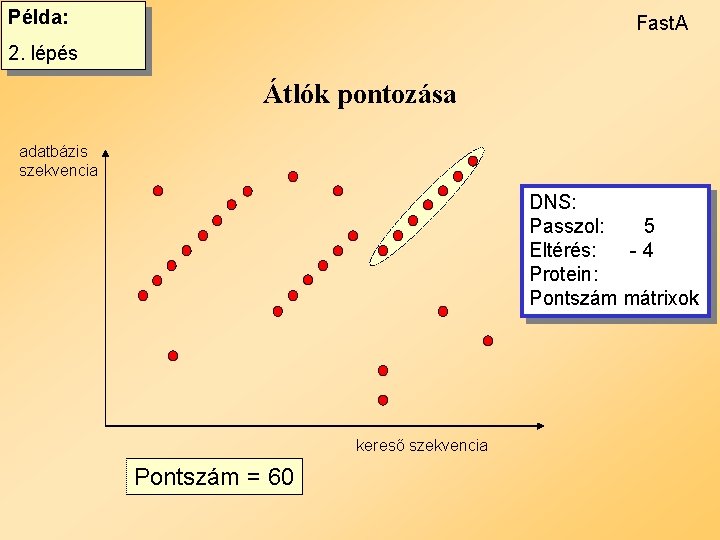 Példa: Fast. A 2. lépés Átlók pontozása adatbázis szekvencia DNS: Passzol: 5 Eltérés: -4