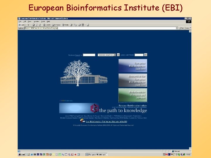 European Bioinformatics Institute (EBI) 