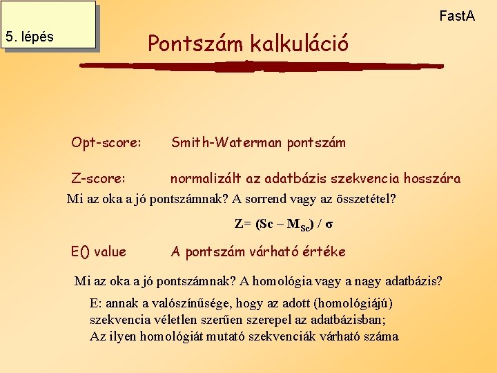 Fast. A Pontszám kalkuláció 5. lépés Opt-score: Smith-Waterman pontszám Z-score: normalizált az adatbázis szekvencia