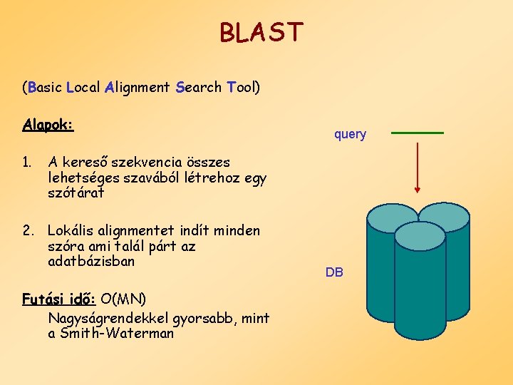 BLAST (Basic Local Alignment Search Tool) Alapok: 1. query A kereső szekvencia összes lehetséges