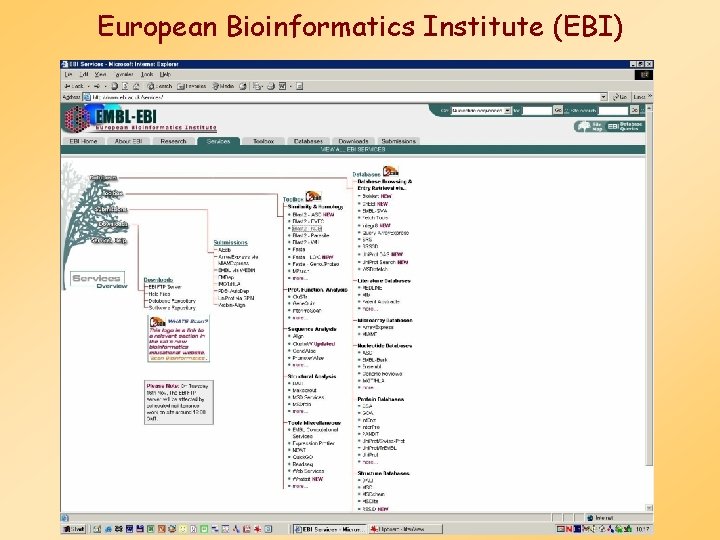 European Bioinformatics Institute (EBI) 