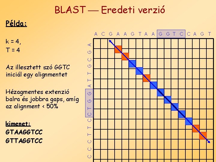 BLAST Eredeti verzió Példa: k = 4, T=4 Az illesztett szó GGTC iniciál egy