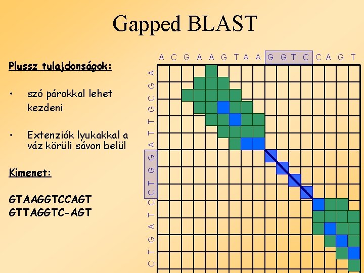 Gapped BLAST • szó párokkal lehet kezdeni • Extenziók lyukakkal a váz körüli sávon