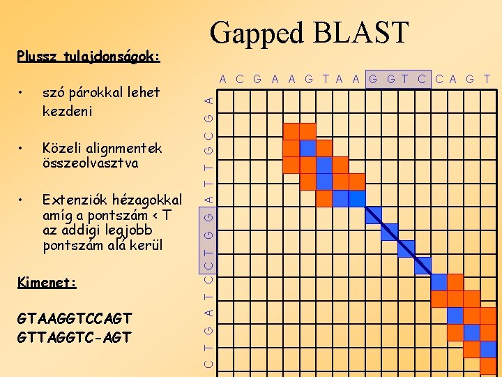  • szó párokkal lehet kezdeni • Közeli alignmentek összeolvasztva • Extenziók hézagokkal amíg