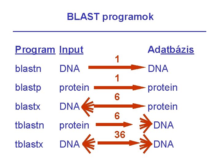 BLAST programok Program Input blastn DNA blastp protein blastx DNA tblastn protein tblastx DNA