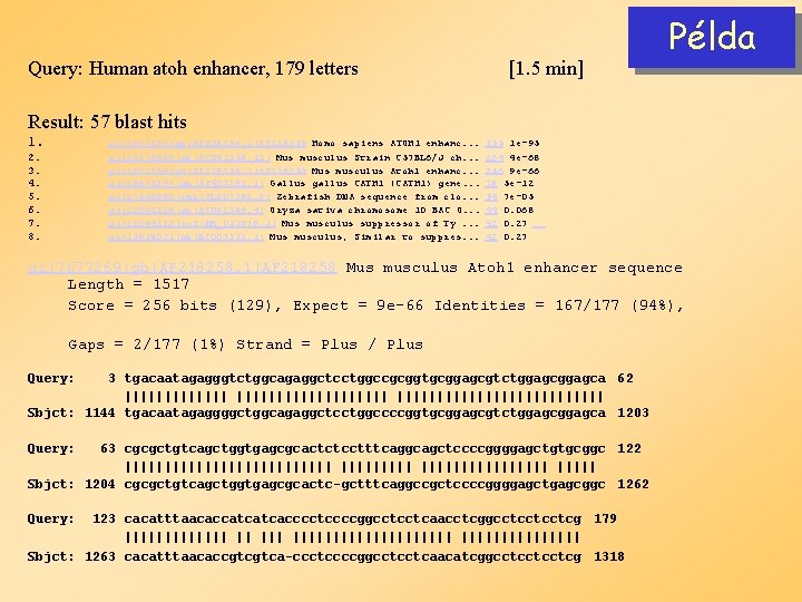 Query: Human atoh enhancer, 179 letters [1. 5 min] Példa Result: 57 blast hits