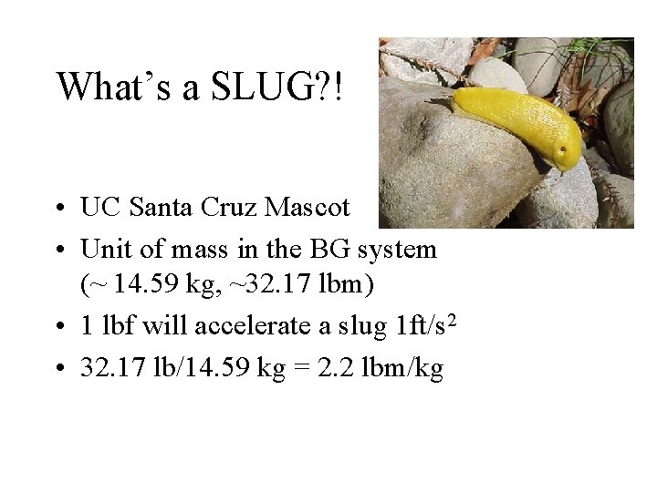 What’s a SLUG? ! • UC Santa Cruz Mascot • Unit of mass in