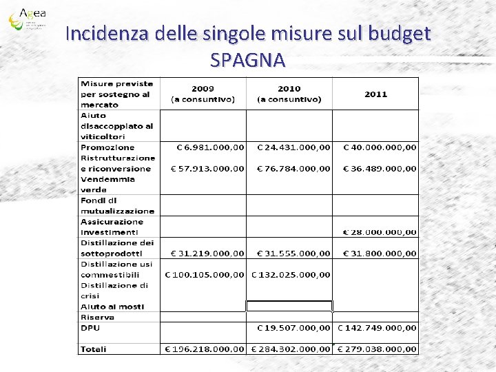 Incidenza delle singole misure sul budget SPAGNA 