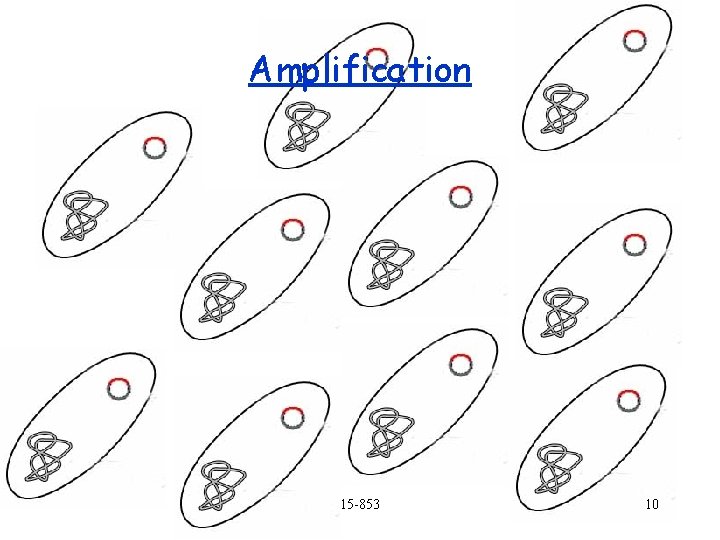 Amplification 15 -853 10 