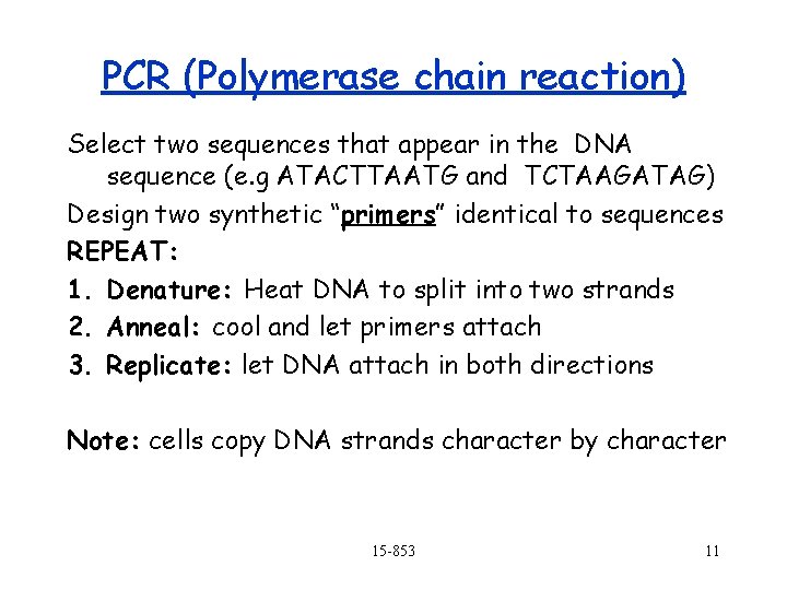 PCR (Polymerase chain reaction) Select two sequences that appear in the DNA sequence (e.