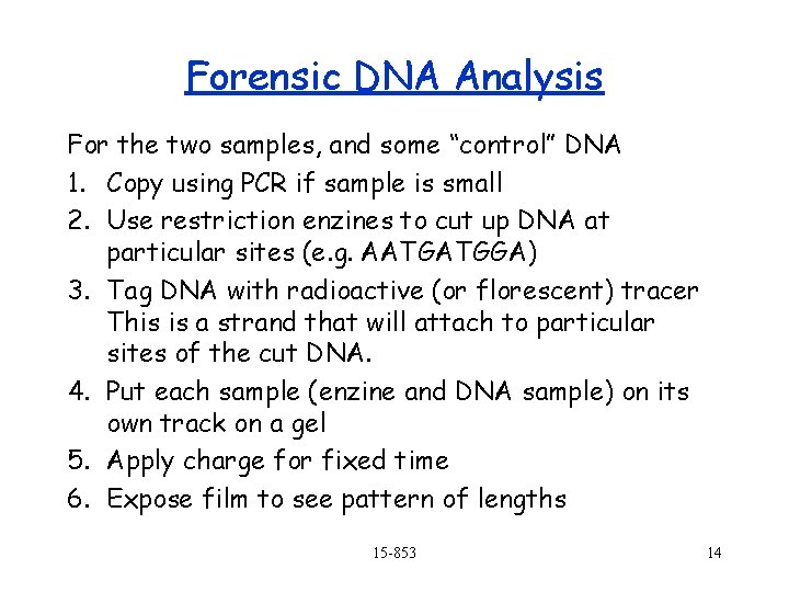 Forensic DNA Analysis For the two samples, and some “control” DNA 1. Copy using