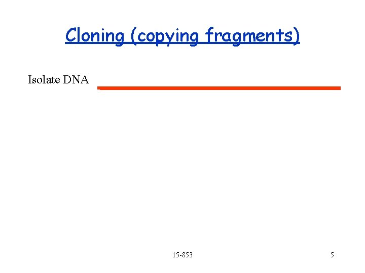 Cloning (copying fragments) Isolate DNA 15 -853 5 