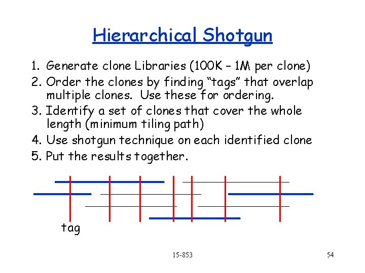 Hierarchical Shotgun 1. Generate clone Libraries (100 K – 1 M per clone) 2.