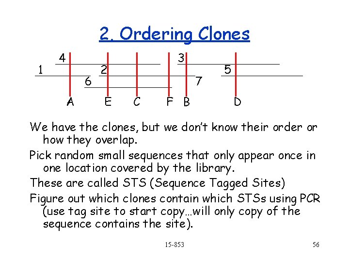 2. Ordering Clones 1 4 6 A 3 2 E 7 C F B