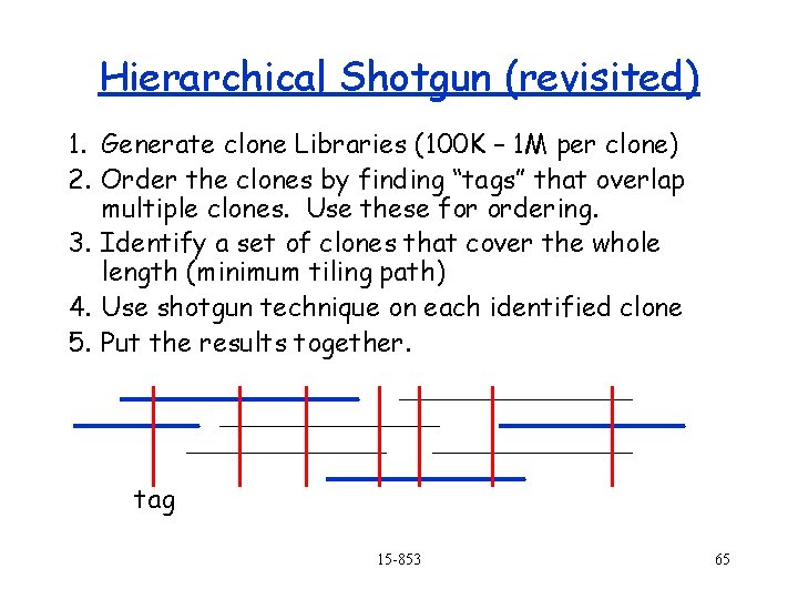 Hierarchical Shotgun (revisited) 1. Generate clone Libraries (100 K – 1 M per clone)