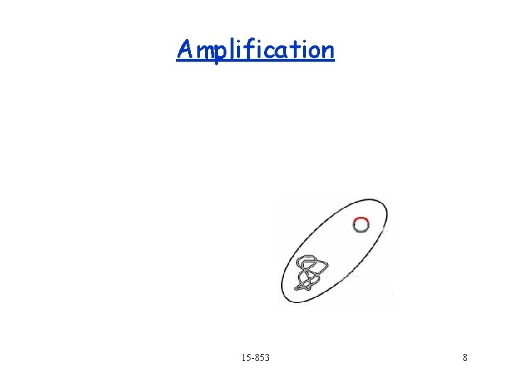 Amplification 15 -853 8 