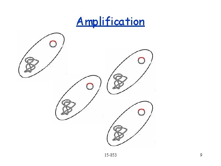 Amplification 15 -853 9 