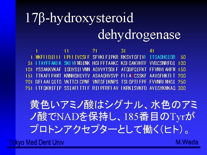 17β-hydroxysteroid dehydrogenase 1 51 101 151 201 251 1 MKFLLDILLL LTAYEFAKLK YSSAKKVKAE TTKAFLPAMT DELAALQITG