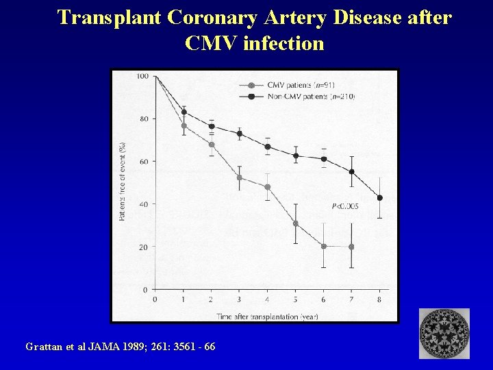 Transplant Coronary Artery Disease after CMV infection Grattan et al JAMA 1989; 261: 3561