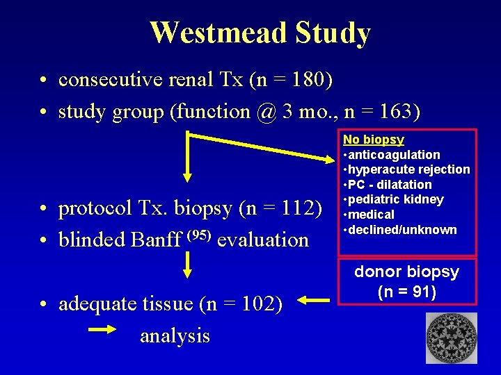 Westmead Study • consecutive renal Tx (n = 180) • study group (function @