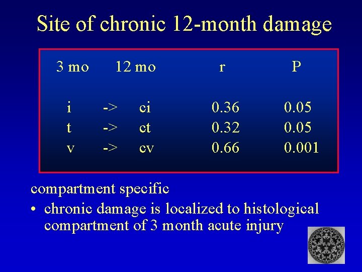 Site of chronic 12 -month damage 3 mo i t v 12 mo ->