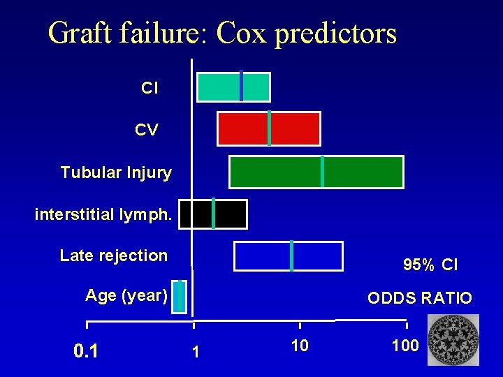 Graft failure: Cox predictors CI CV Tubular Injury interstitial lymph. Late rejection 95% CI