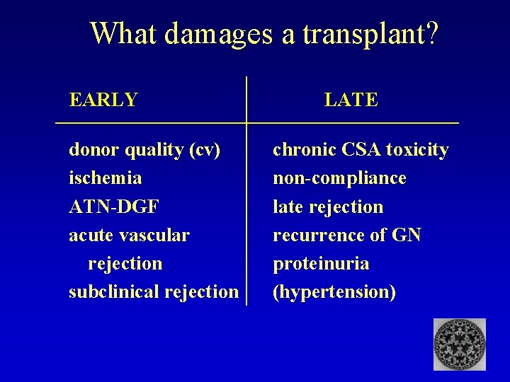 What damages a transplant? EARLY donor quality (cv) ischemia ATN-DGF acute vascular rejection subclinical