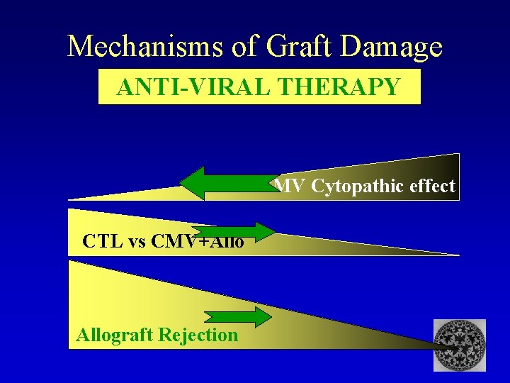 Mechanisms of Graft Damage ANTI-VIRAL THERAPY CMV Cytopathic effect CTL vs CMV+Allograft Rejection 