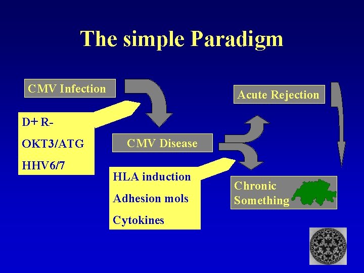 The simple Paradigm CMV Infection Acute Rejection D+ ROKT 3/ATG HHV 6/7 CMV Disease