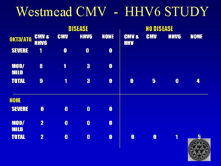 Westmead CMV - HHV 6 STUDY DISEASE OKT 3/ATG NONE NO DISEASE 
