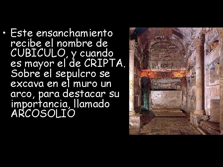 • Este ensanchamiento recibe el nombre de CUBICULO, y cuando es mayor el • Este ensanchamiento recibe el nombre de CUBICULO, y cuando es mayor el