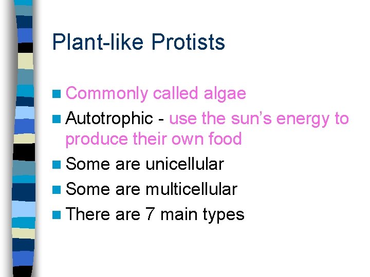 Plant-like Protists n Commonly called algae n Autotrophic - use the sun’s energy to