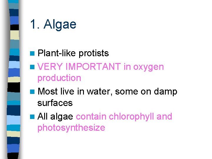 1. Algae n Plant-like protists n VERY IMPORTANT in oxygen production n Most live