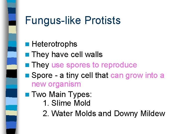 Fungus-like Protists n Heterotrophs n They have cell walls n They use spores to