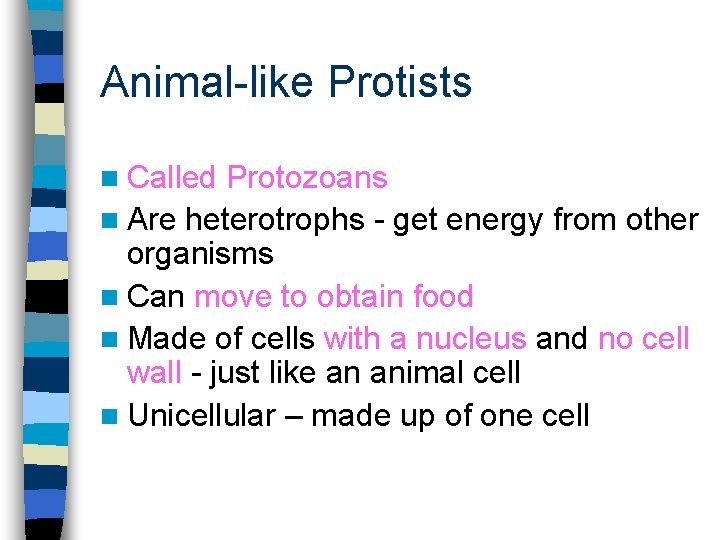 Animal-like Protists n Called Protozoans n Are heterotrophs - get energy from other organisms