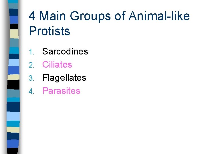 4 Main Groups of Animal-like Protists Sarcodines 2. Ciliates 3. Flagellates 4. Parasites 1.