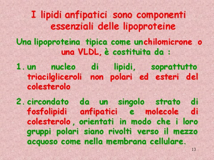 I lipidi anfipatici sono componenti essenziali delle lipoproteine Una lipoproteina tipica come un chilomicrone