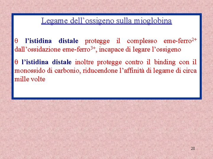 Legame dell’ossigeno sulla mioglobina q l’istidina distale protegge il complesso eme-ferro 2+ dall’ossidazione eme-ferro