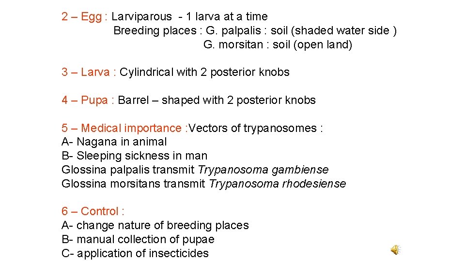2 – Egg : Larviparous - 1 larva at a time Breeding places :
