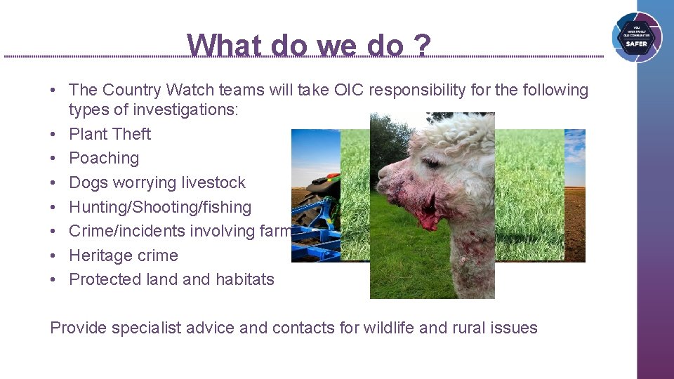 What do we do ? • The Country Watch teams will take OIC responsibility