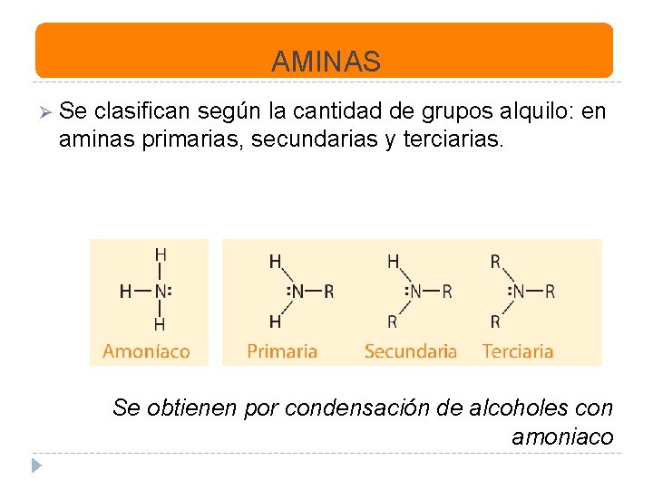 AMINAS Ø Se clasifican según la cantidad de grupos alquilo: en aminas primarias, secundarias